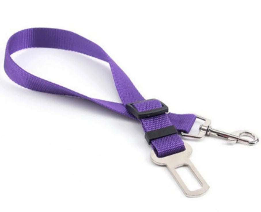 PawSafe Car Belt