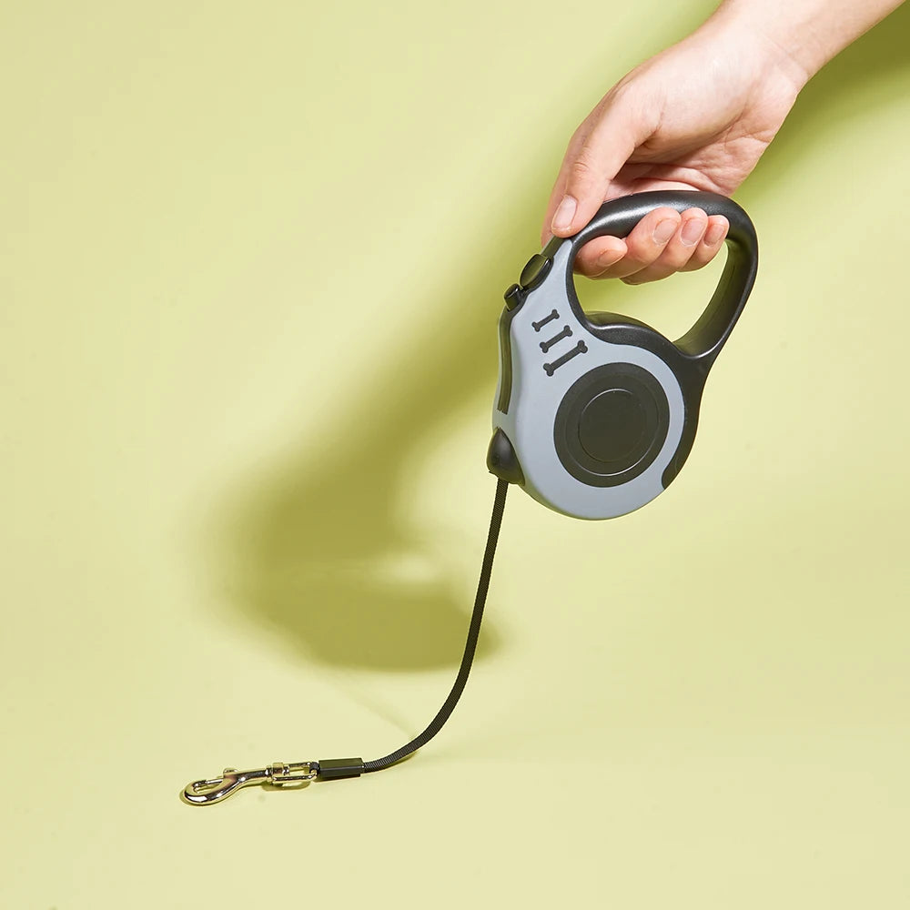 Smooth Step Dog Leash