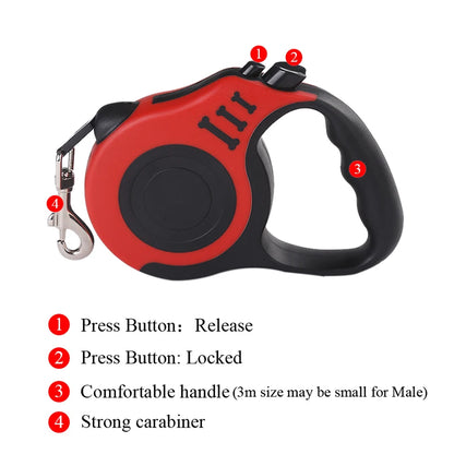 Smooth Step Dog Leash