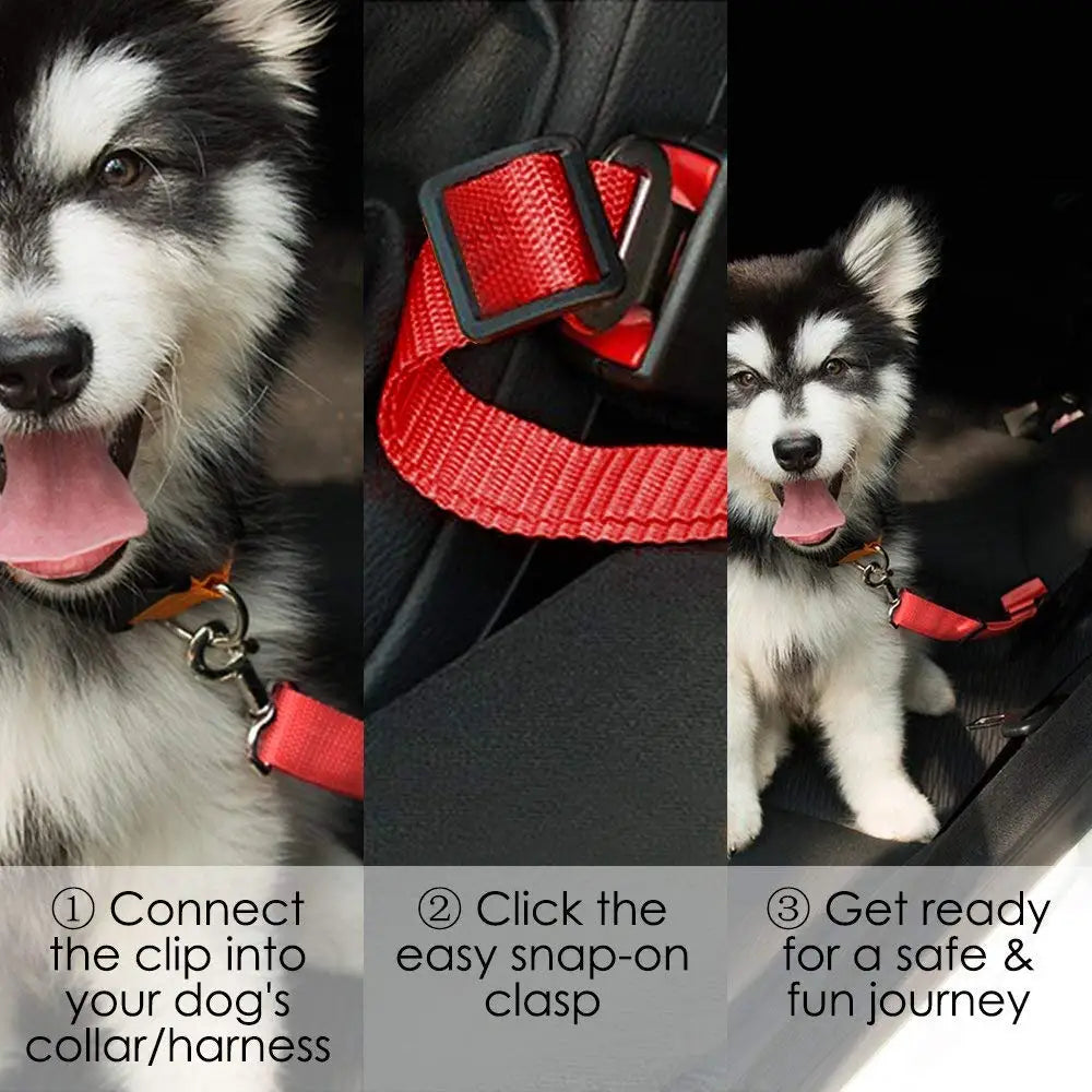 PawSafe Car Belt