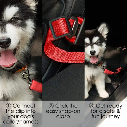 PawSafe Car Belt