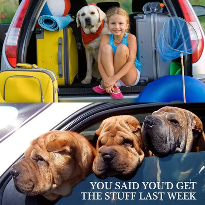 PawSafe Car Belt